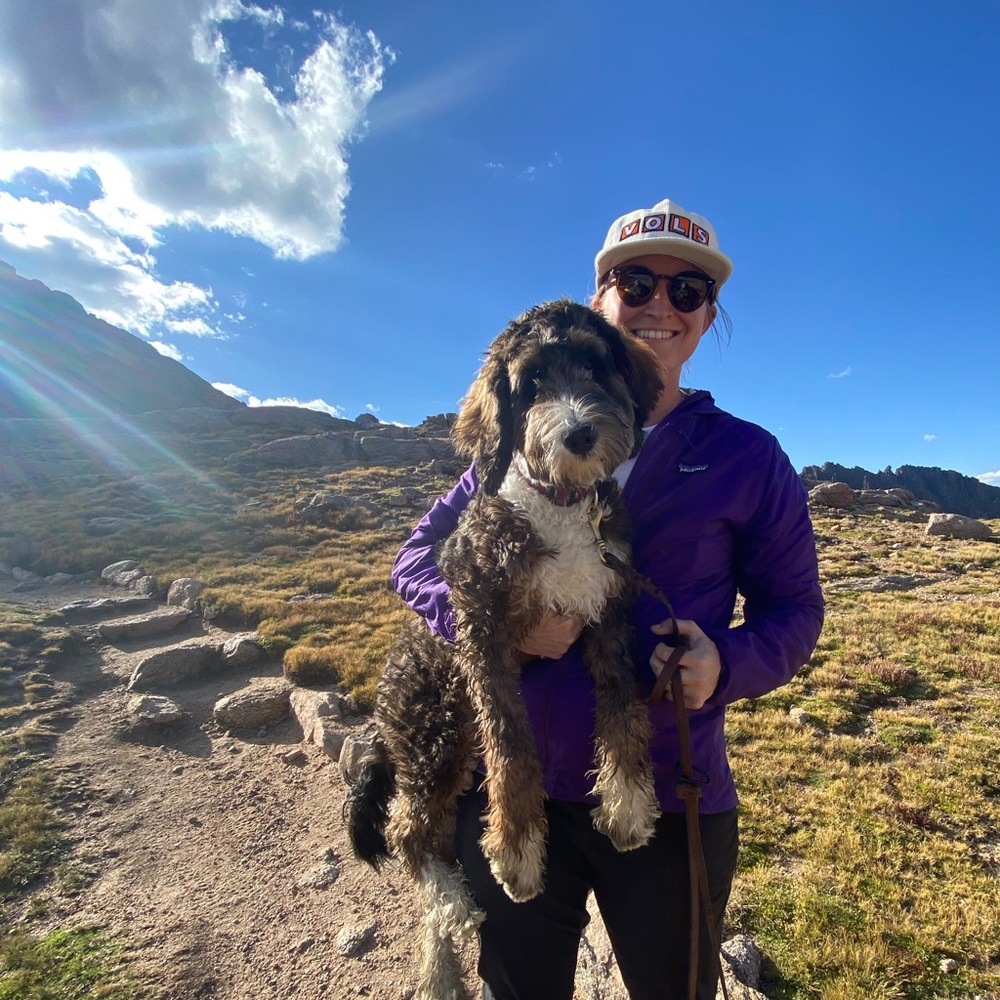 Meet your Posher, Chandler